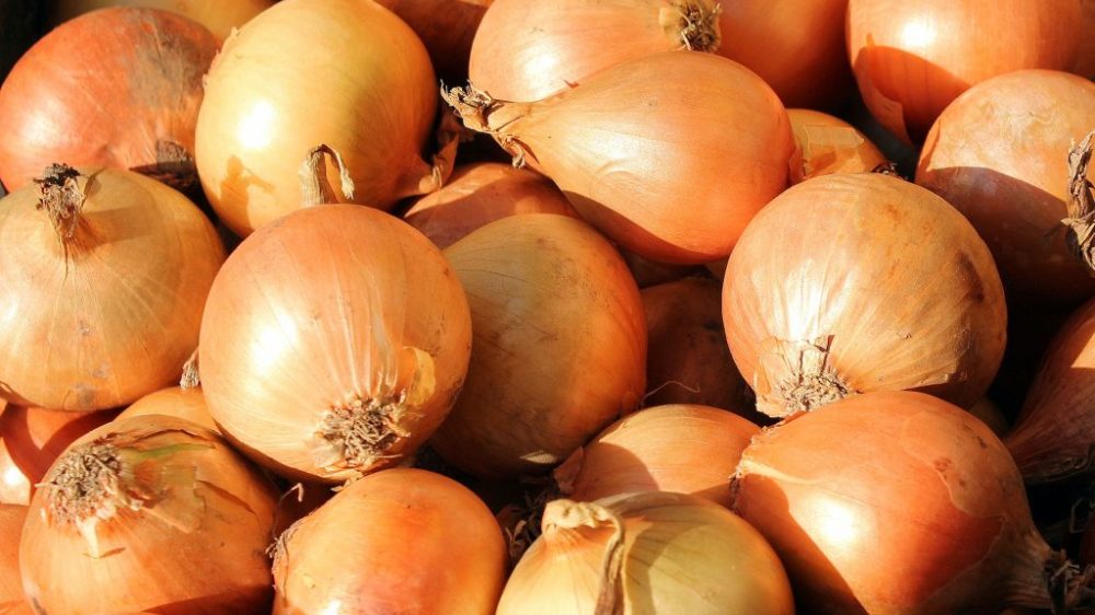 onion-3127137_1920-1024x708